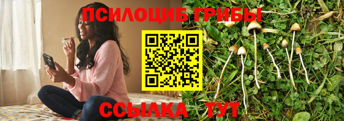 Псилоцибиновые грибы GOLDEN TEACHER  Вход с VPN  Первоуральск 