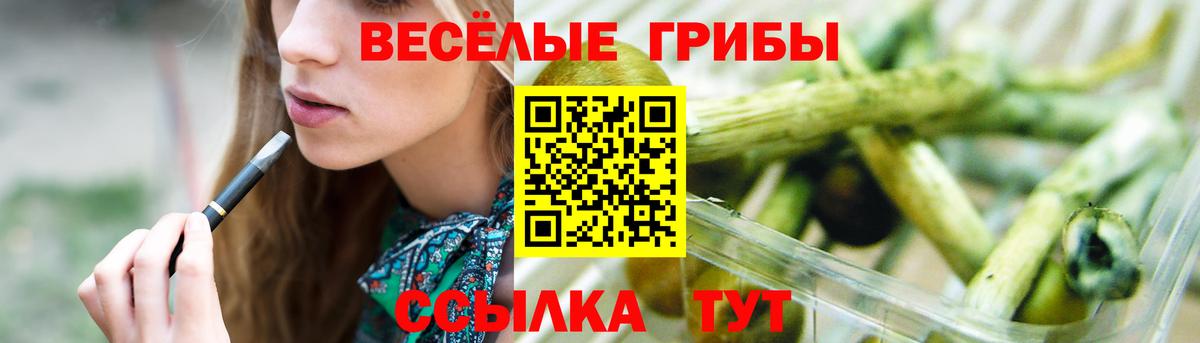 Галлюциногенные грибы Cubensis Первоуральск